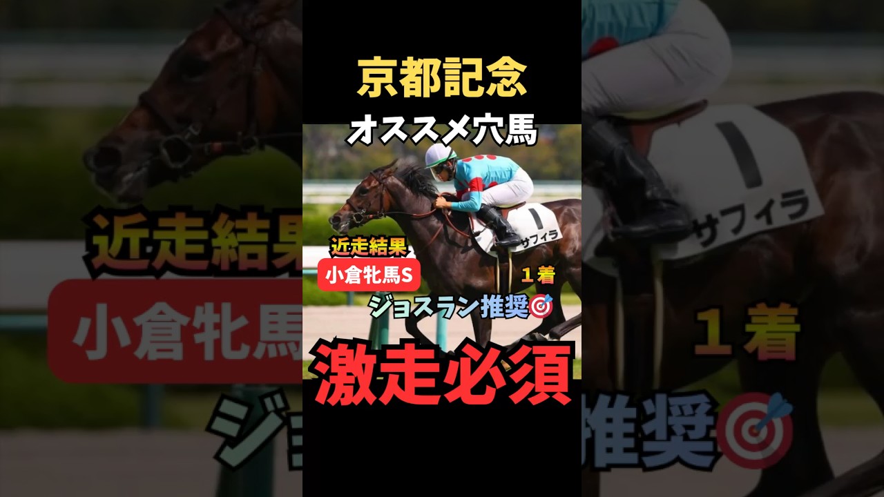 【京都記念2026】オススメ穴馬/激走必須#京都記念 #サフィラ #競馬予想tv #競馬 #競馬予想 #中央競馬予想 #ウマキング #うまログ #粗品