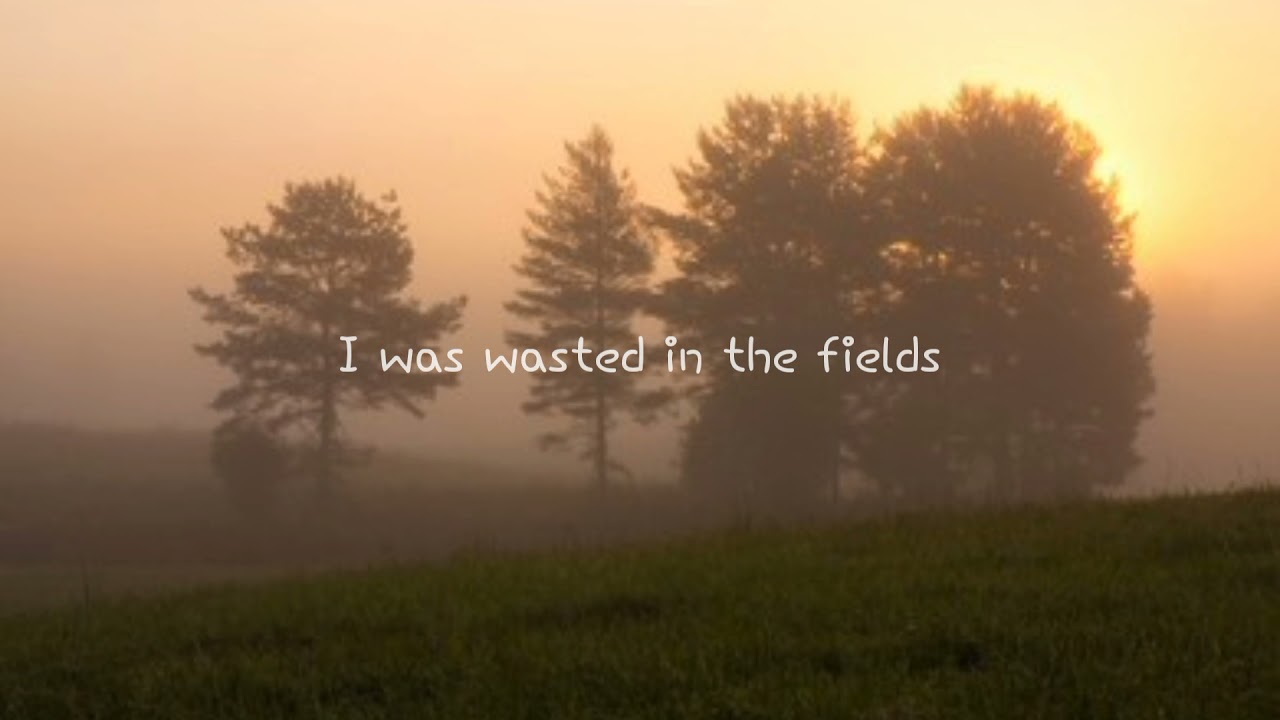 Zero Degree - Golden Dandelions (lyrics on screen)