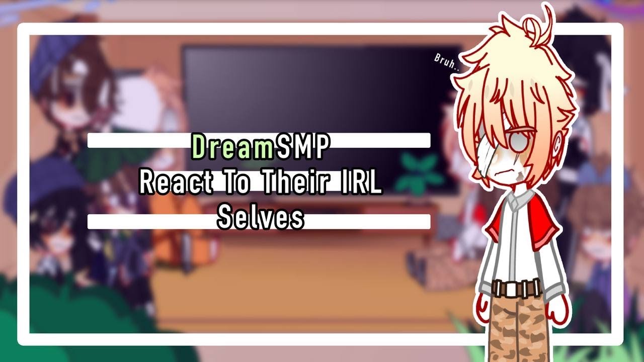 Dsmp/mcyt members react to their IRL selves |