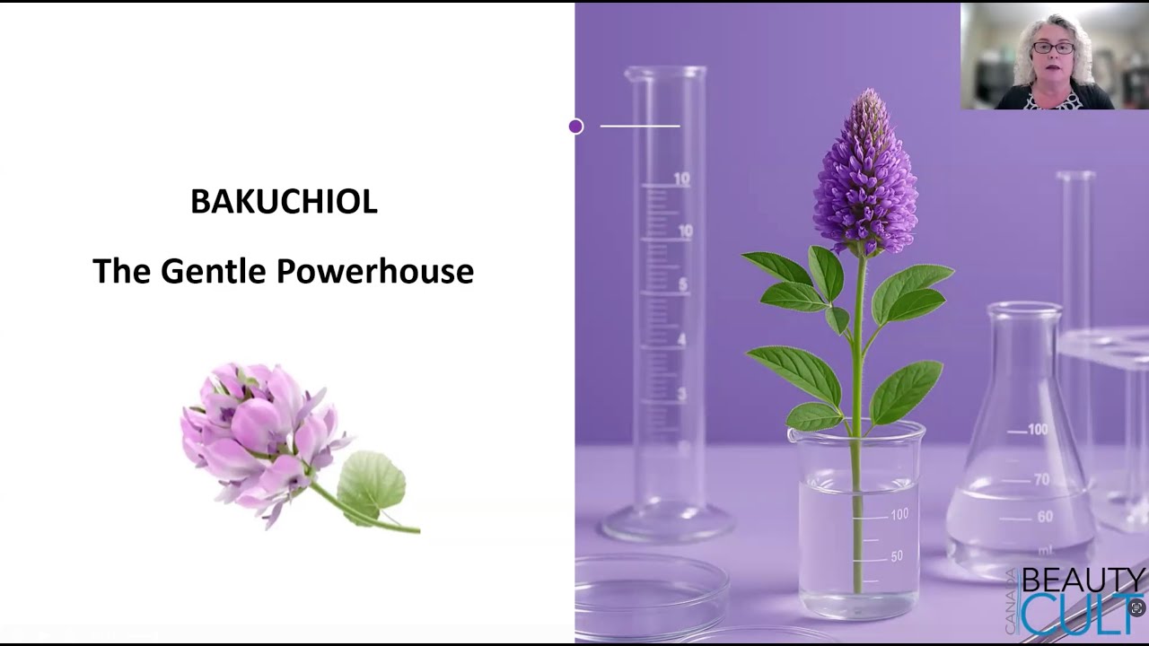 Bakuchiol: The New Natural Retinol