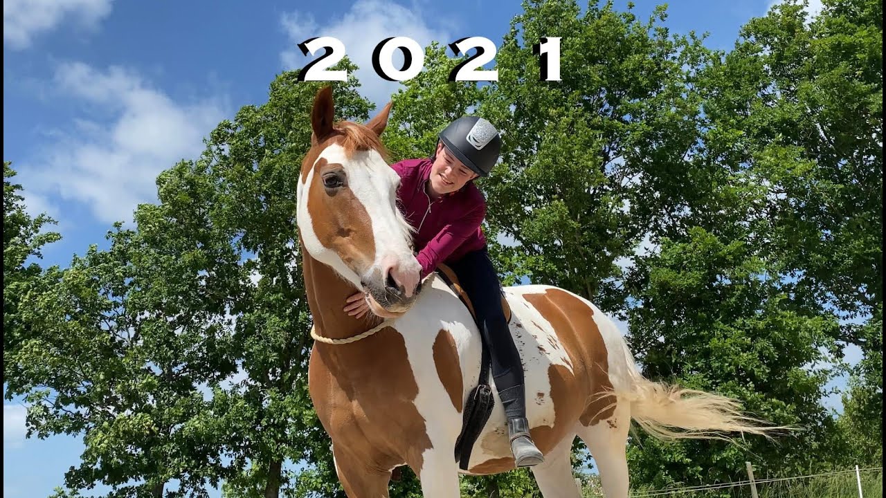 MY YEAR 2021, A HARD BUT GOOD YEAR - ÅRET DER GIK 2021, ET HÅRDT MEN GODT ÅR