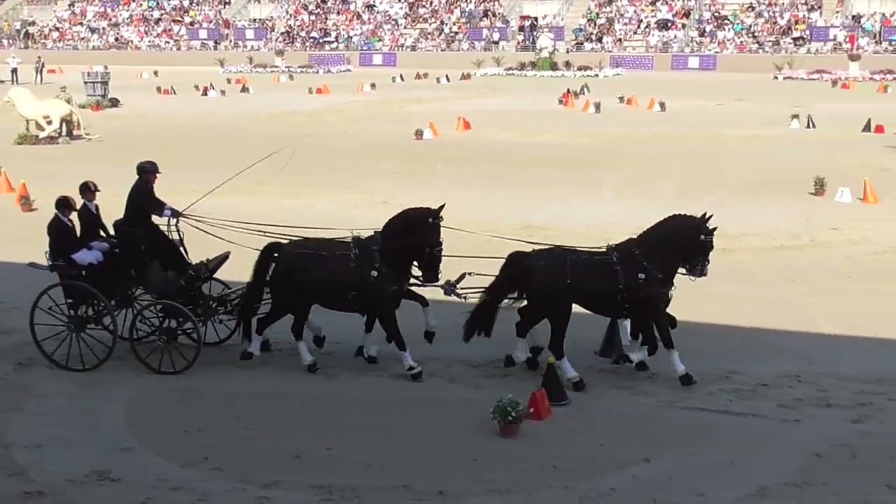 Boyd Exell akadályhajtás, Szilvásvárad, négyesfogathajtó világbajnokság