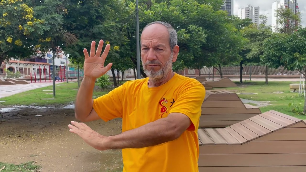 Tutorial 1, JinBu- (Avanzar) Técnica del WuBu de Taichi estilo Yang