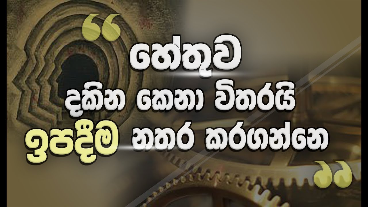ඵලය නොදැක හේතුව දකින්නට...(ආර්ය අෂ්ඨාංගික මාර්ගය තුලින් හේතුඵල දහම)_Niwan Dakimu