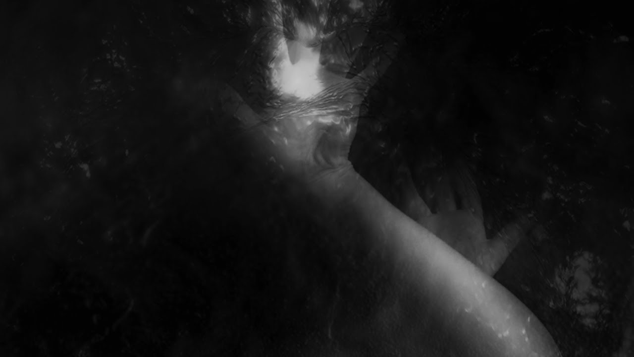 Fvnerals -  For Horror Eats the Light [Official Music Video]