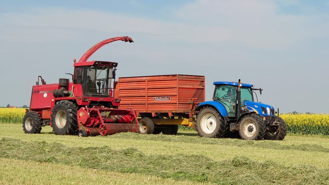 Grass Silage 2023 - Case/Mengele Mammut 7800 and 2x New Holland T6