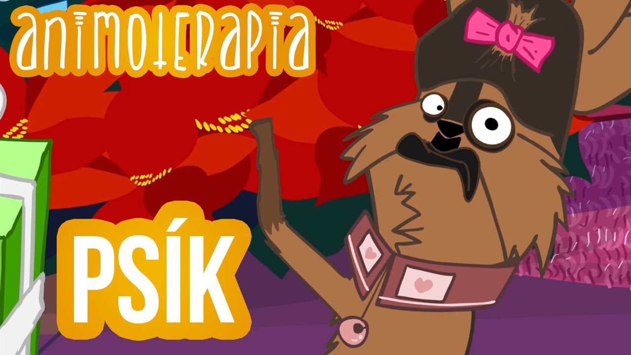 Animoterapia - 3 : Psík