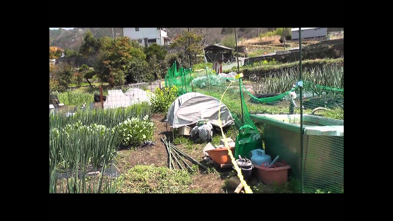 はなげかったーで平テープ.wmv