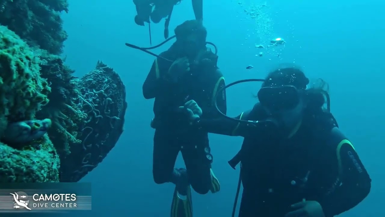 Scuba Diving Adventure: Exploring Coral Reefs in Camotes