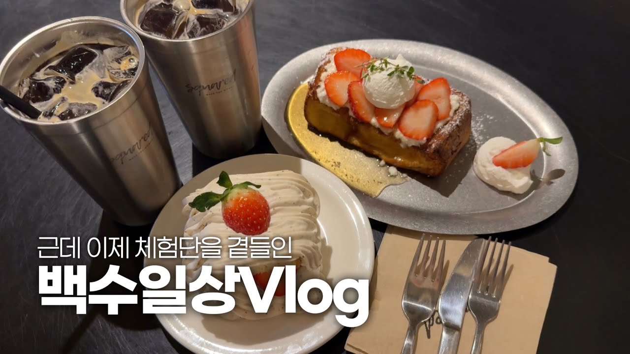 블로그 도움 많이 된다 📝 블로그 체험단으로 뽕 뽑는 29살 백수 브이로그