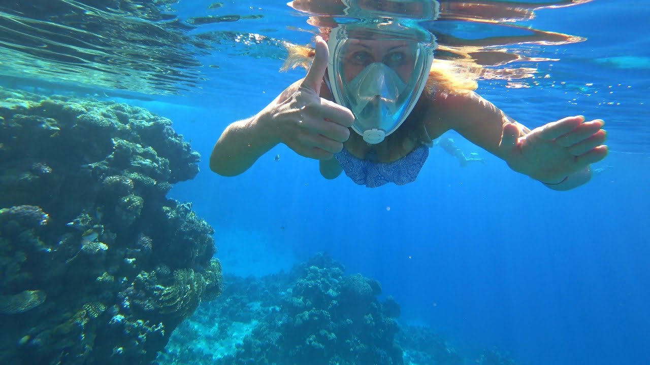 RED SEA  SNORKELING ( SIVA SHARM RESORT & SPA, SHARM EL SHEIKH ) 4K