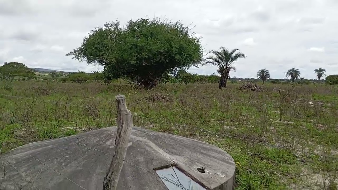 Sítio muito lindo assistir até O fim 