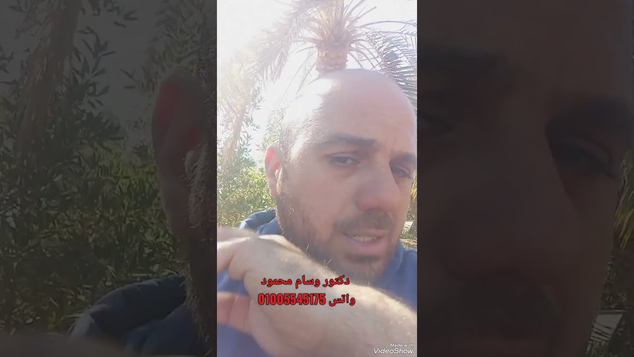 محتاج يكون معايا كام علشان أزرع عشر افدنه نخيل صعيدي أو مجدول؟ واتس 01005545175