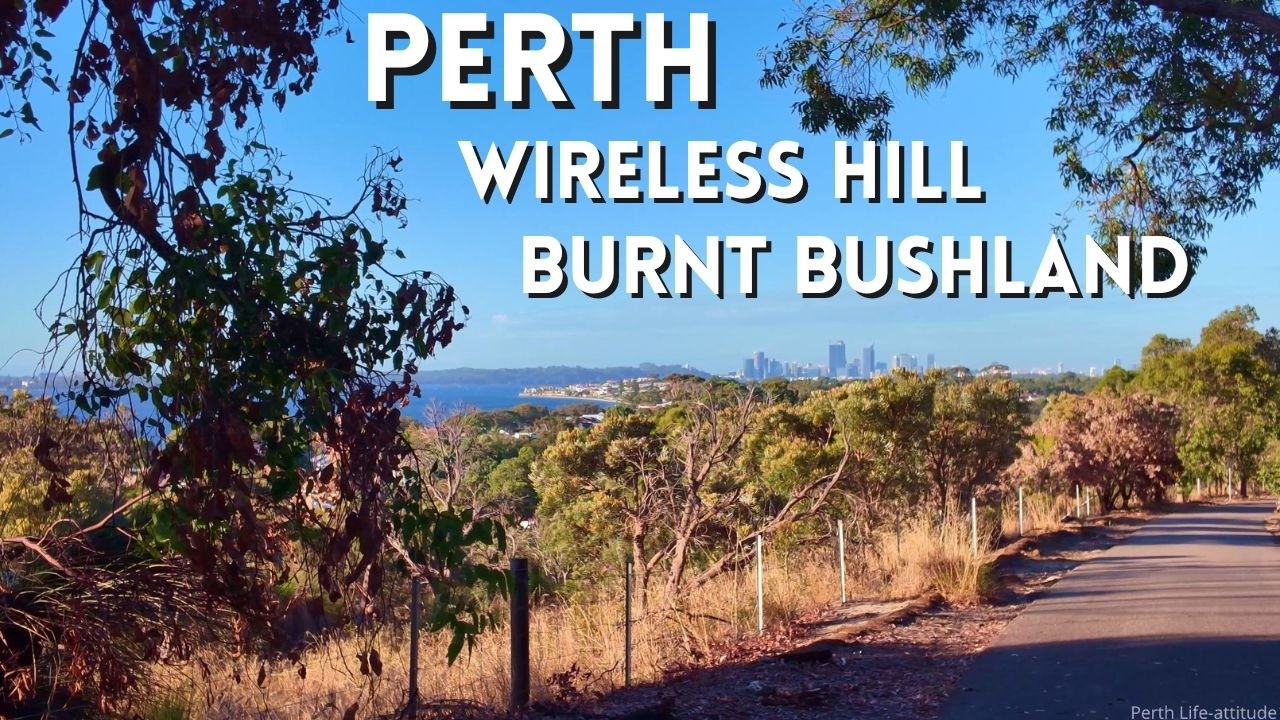 Perth Wireless Hill Walk 2026 - Burnt Bushland, New Growth & Canning Highway Entrance (4K)