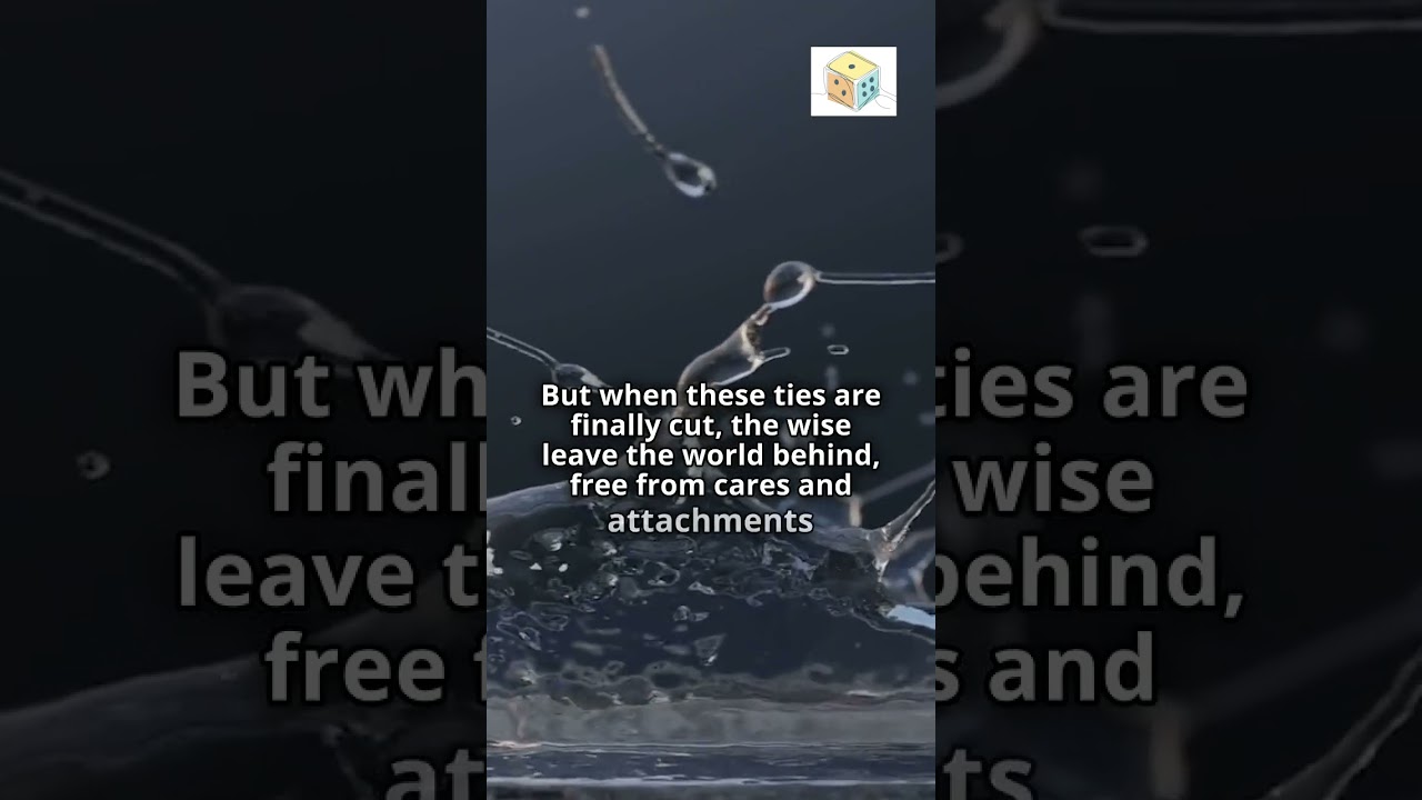 347.  Breaking Free  : Escape the Web of Desire (Short Meditation) #Meditation