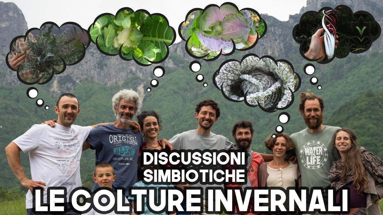 Discussioni Simbiotiche - Le Colture Invernali - Live webinar 16-06-2021
