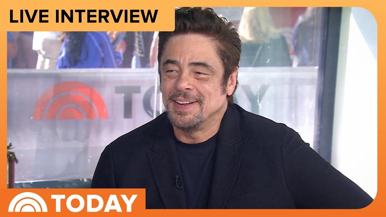 Benicio Del Toro on Standing Ovation for ‘the Phoenician Scheme'