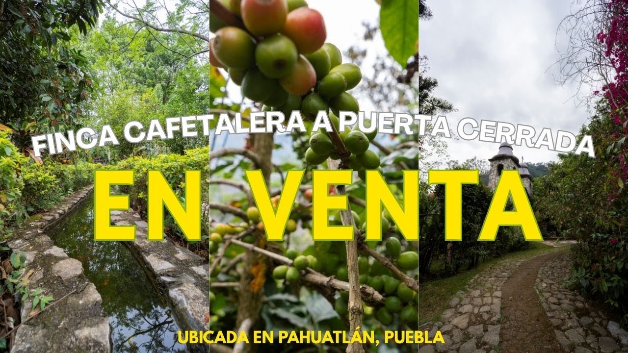 Remate de Finca de 6 HA en Pahuatl&aacute;n, Puebla
