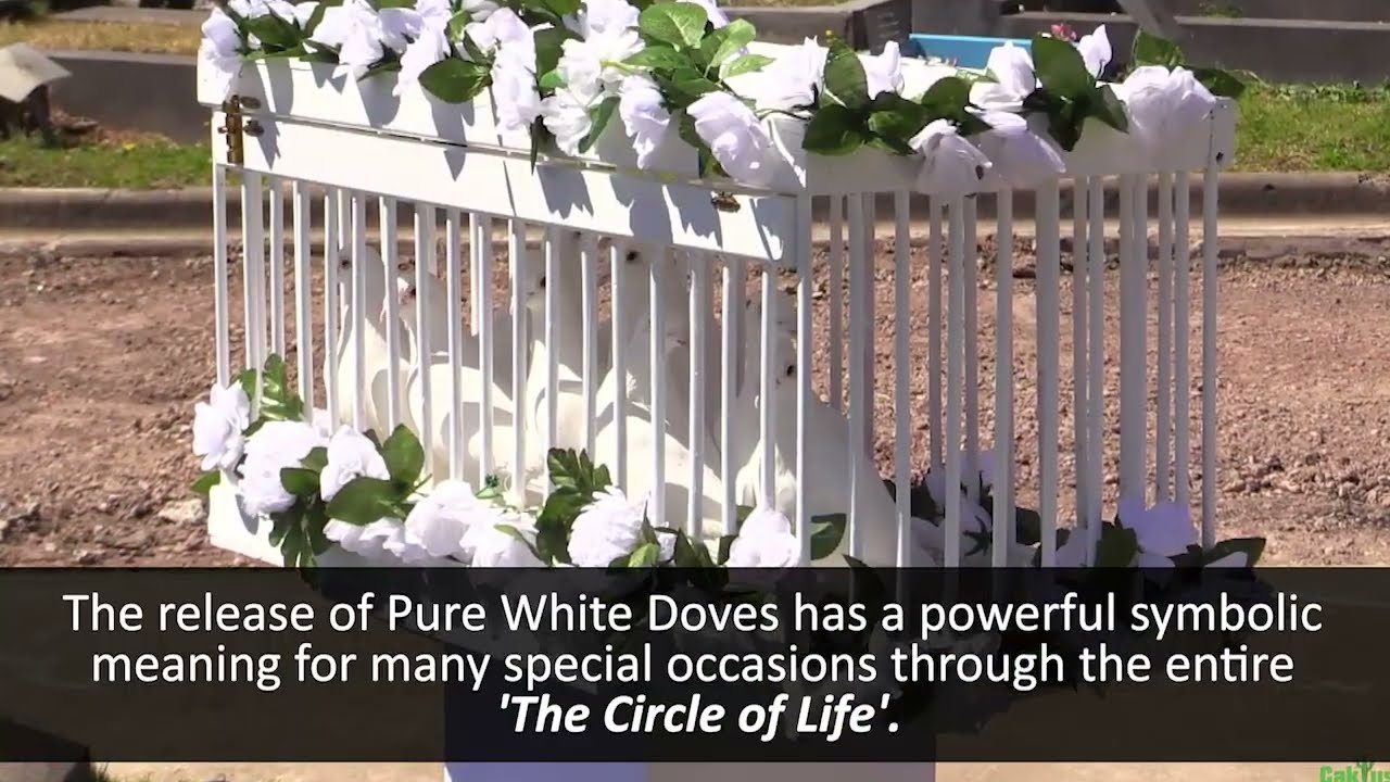 Burial Livestream: Liverpool Cemetery and Crematorium