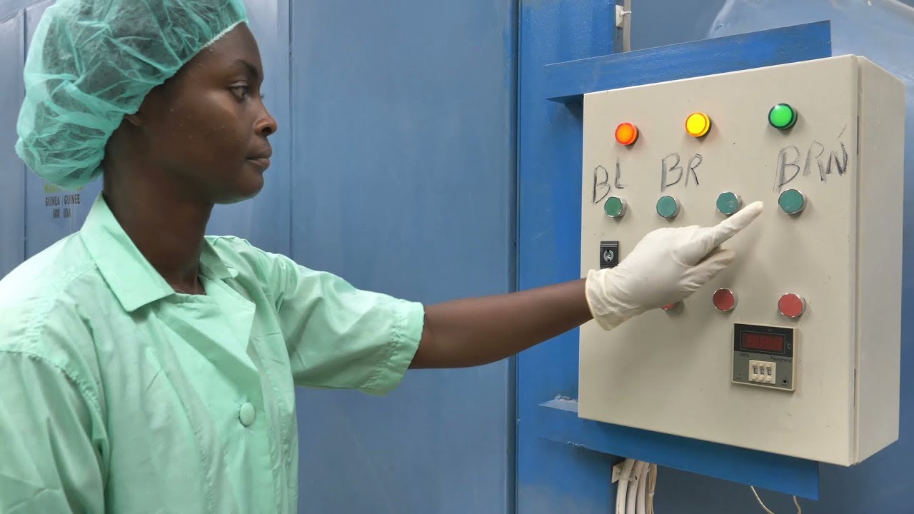 Comment Fatoumata a réussi à percer dans l’agrobusiness en Guinée