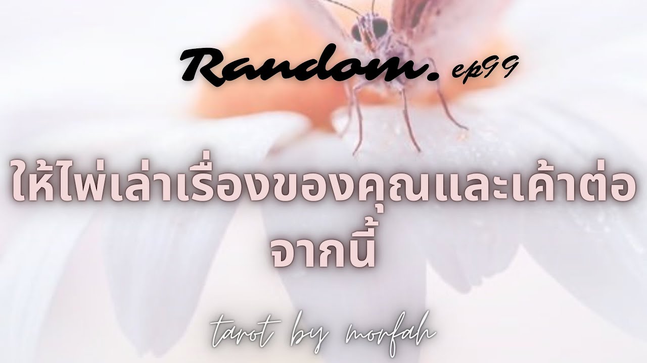 ❤️Random❤️EP.99 ให้ไพ่เล่าเรื่องของคุณและเค้าต่อจากนี้🎉💐👫