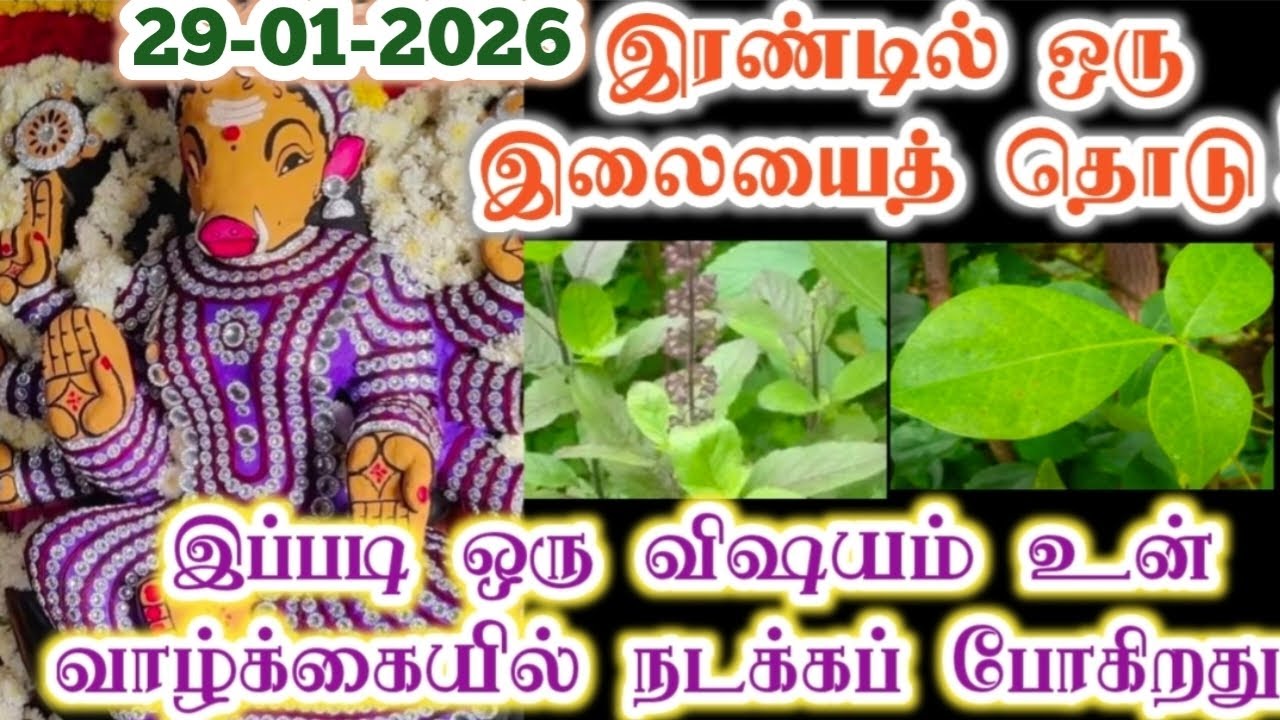 இரண்டில் ஒன்றைத் தொடு வெற்றி  நிச்சயம்/Amman/varaahi Amman/positive vibes/@ஓம்சரவணபவ 