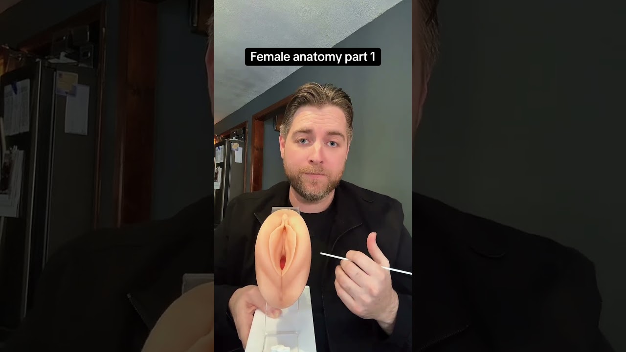 Female anatomy part 1