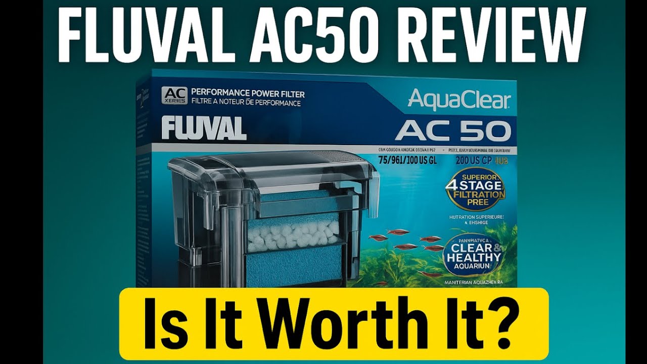 Fluval AC50 Review: Is This the Best HOB Filter for 2025?