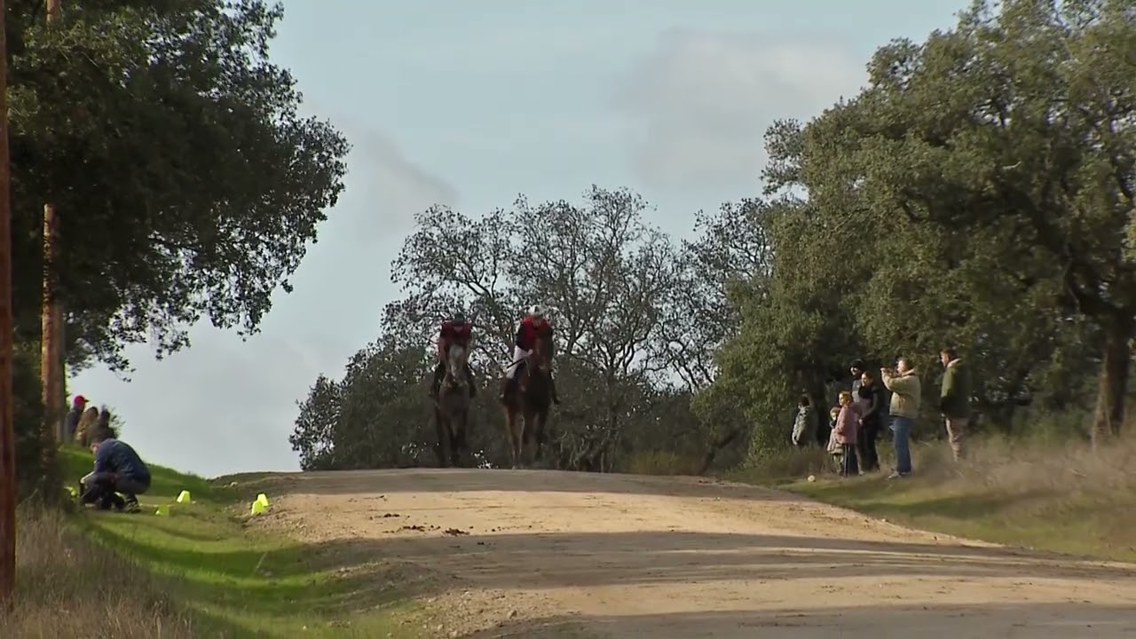 CARRERA CABALLOS TORIL 2026  2 MANGA CRUZADOS