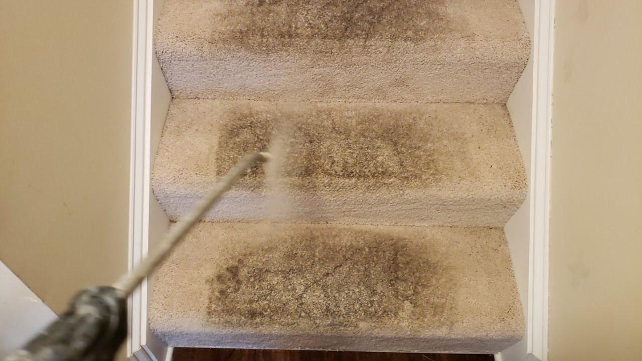 EXTREMELY DIRTIEST Stair cleaning of the year | STAIRS ONLY | Dirty Carpet cleaning vlog Ep 344