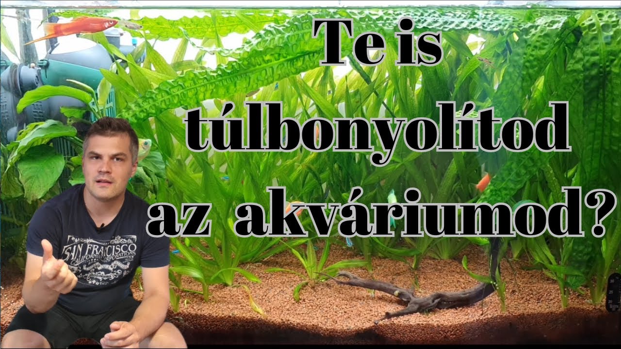 Te is túlbonyolítod az akváriumod?
