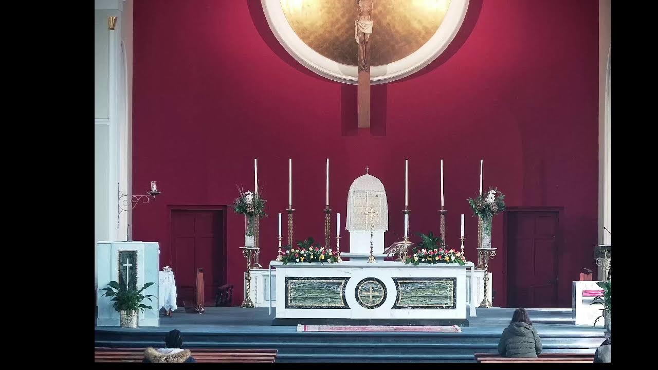 12 noon Mass, Tues 17 March 2026, Solemnity of St Patrick