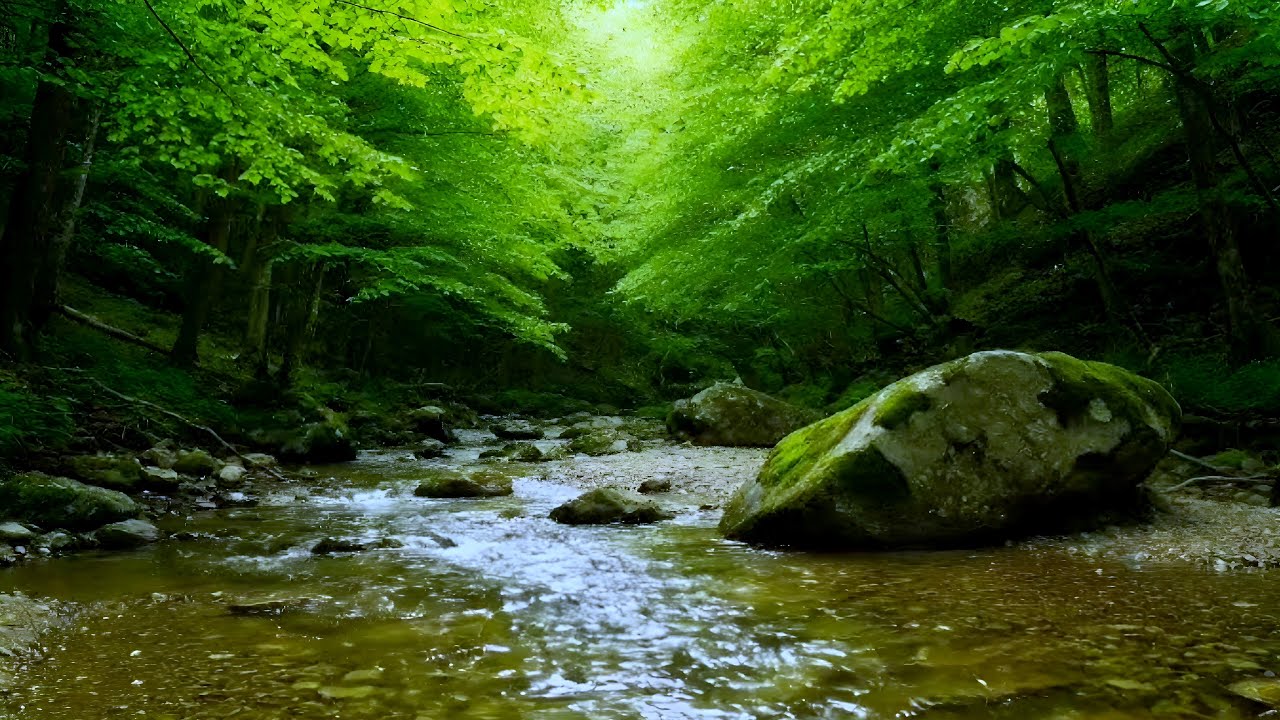 forest and nature sounds : Relieve anxiety with river and bird songs