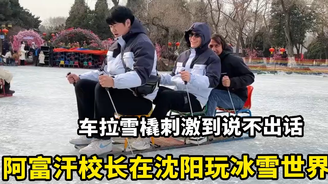 带阿富汗校长游中国，在沈阳玩冰雪世界，车拉雪橇刺激到说不出话【锋哥Kevin】