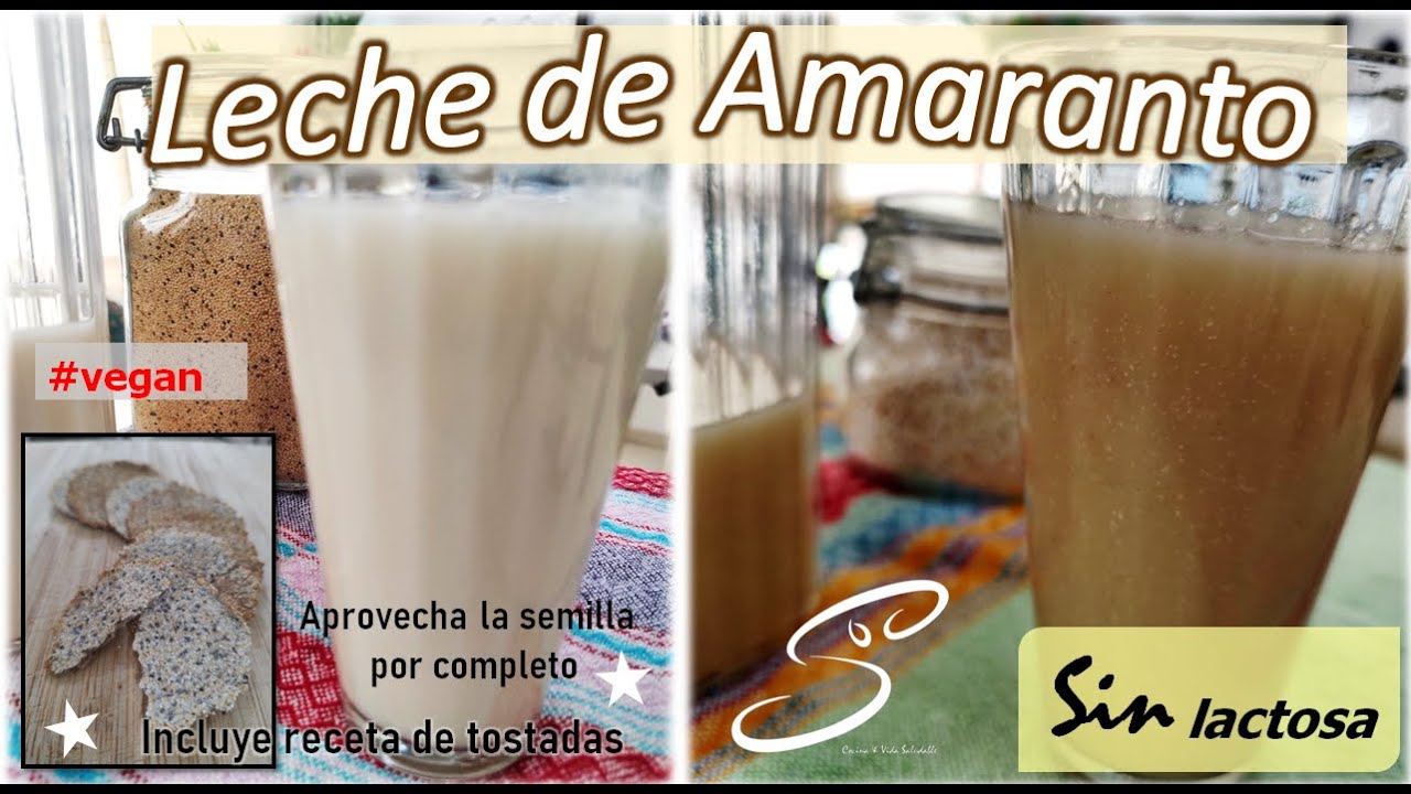 Амарантовое молоко | Кивича молоко | Cocina & Vida Saludable