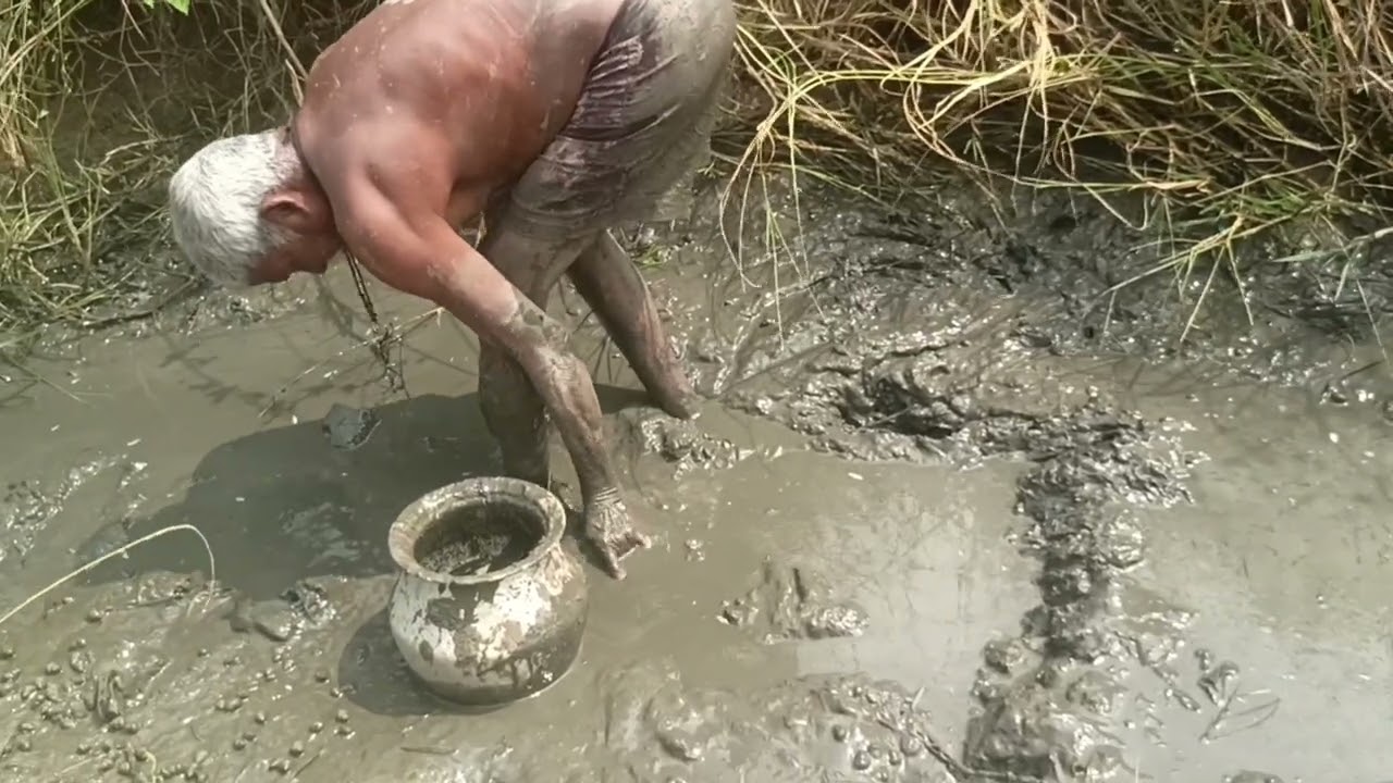 You've never seen fishing like this before 🐟🐟 | (ailu fish vlogs)#fishing #viralvideos