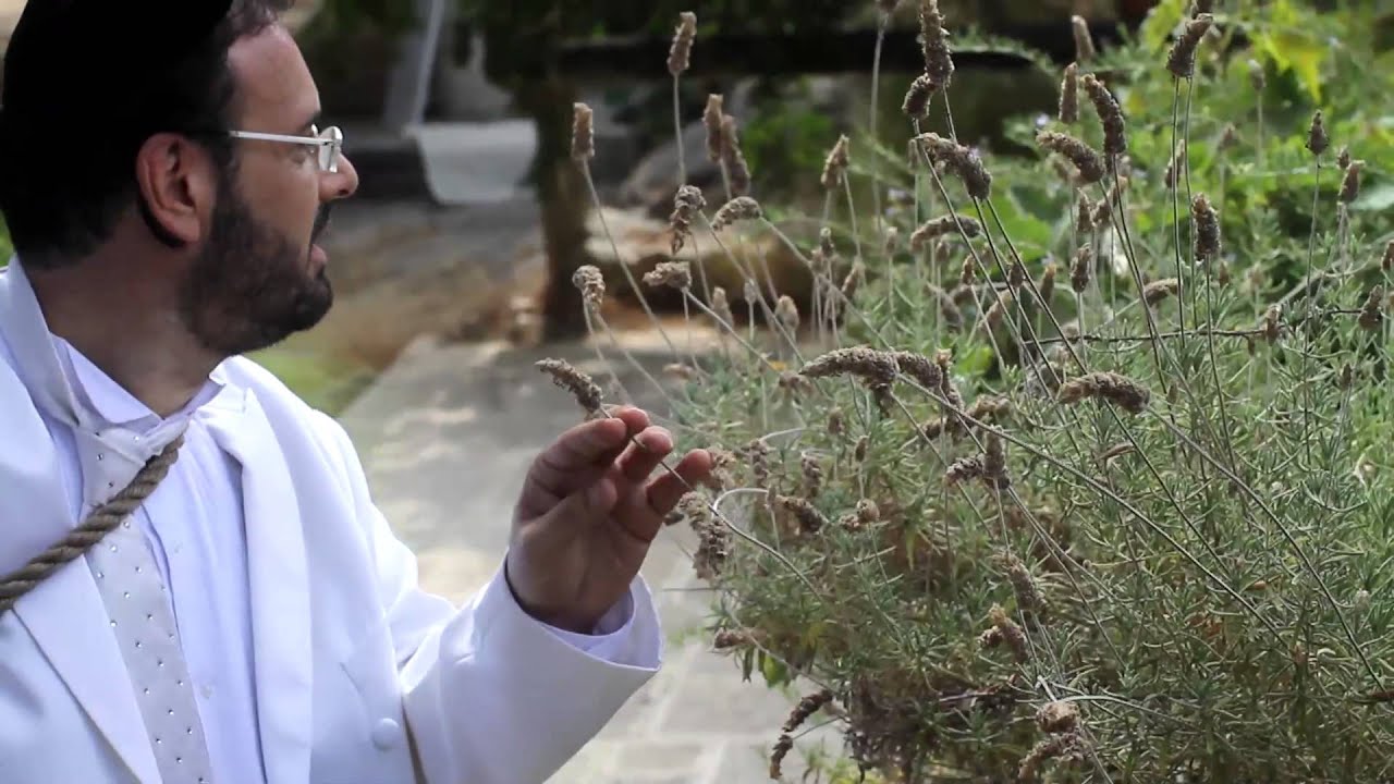 שיר המעלות - יידל ורדיגר | Shir Hamaalot - Official music video by Yeedle