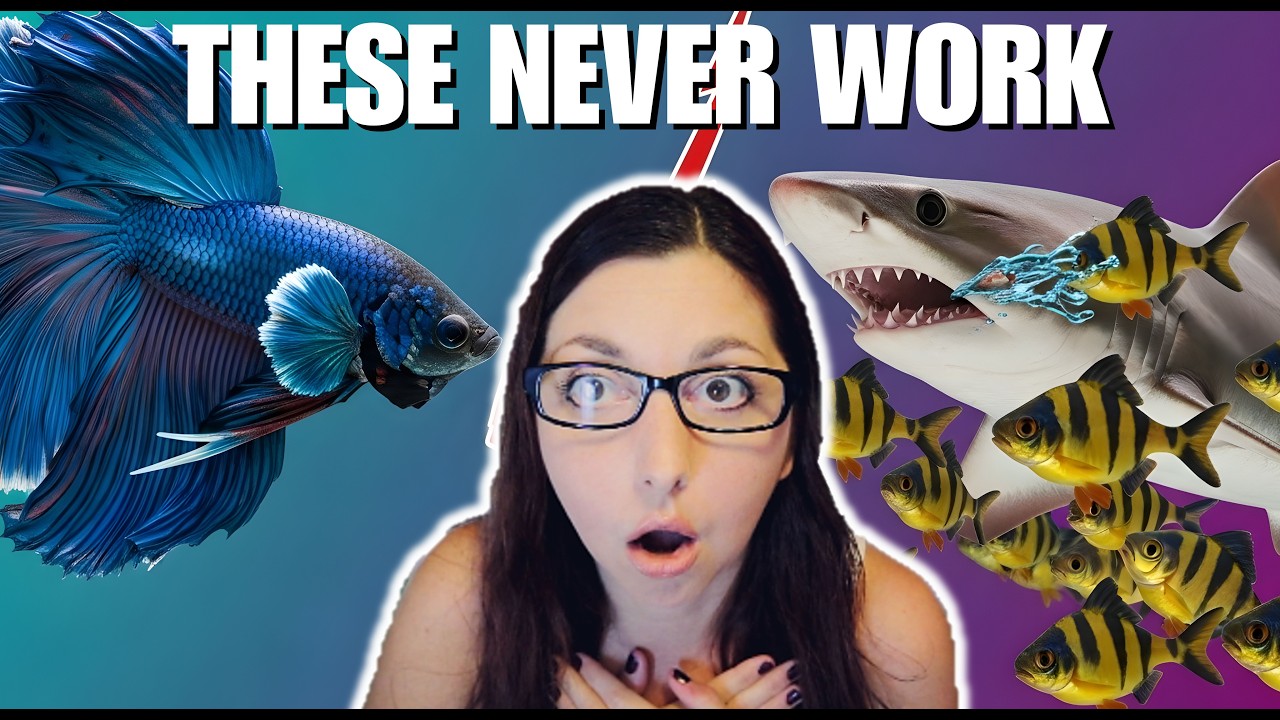 10 Worst Betta Fish Tank Mates😱