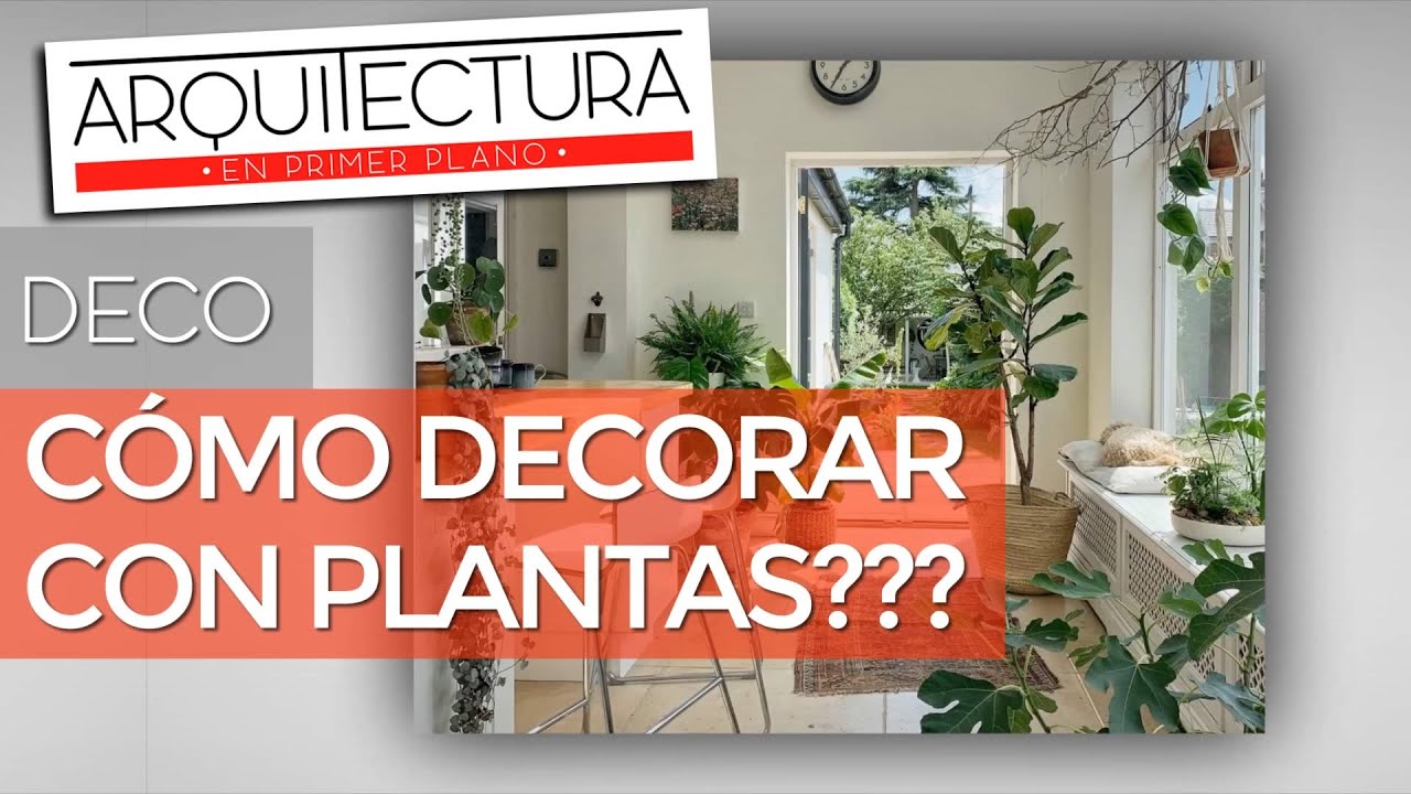 &iquest;COMO DECORAR CON PLANTAS DE INTERIORES? | DECO | AMBIENTACI&Oacute;N