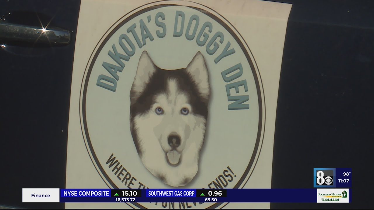 Henderson Animal Control shuts down residential dog boarding business