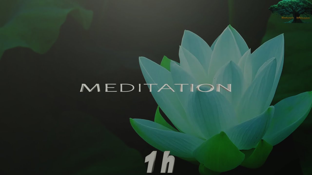 1 HOUR Deep Meditation 🪷 White Lotus Flower Ambience for Inner Peace & Clarity (4K)