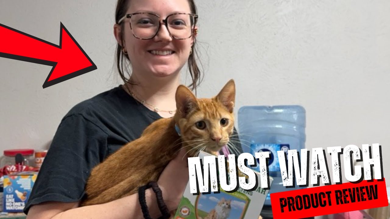 Quick Look at these Flea Collar for Cats/Kittens 4 Pack