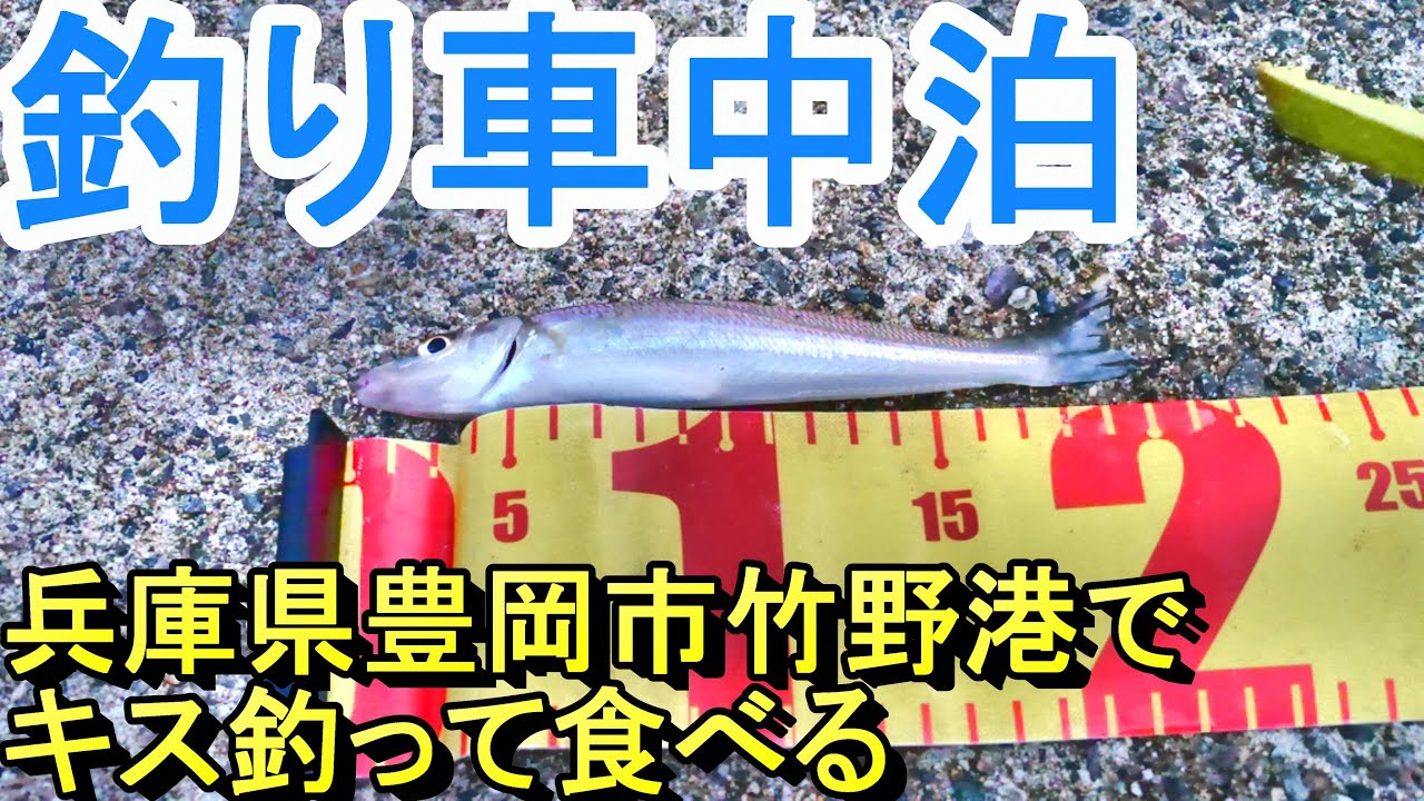 【釣り車中泊】竹野港でキス釣って食べる（兵庫県豊岡市）