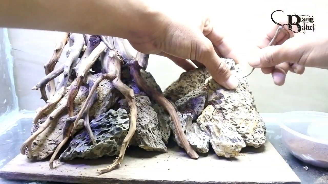 Tutorial Jungle Style Aquascape Pemula | Nano Tank