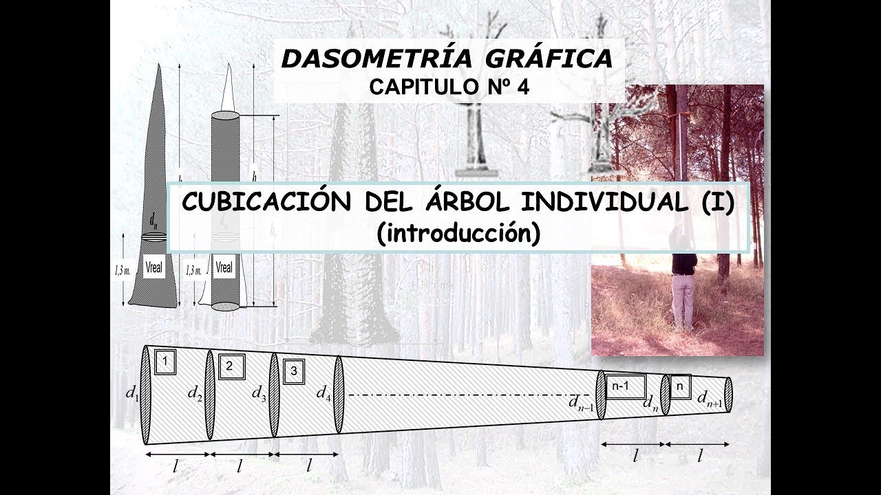 INTRODUCCIÓN A LA CUBICACIÓN DE ÁRBOLES