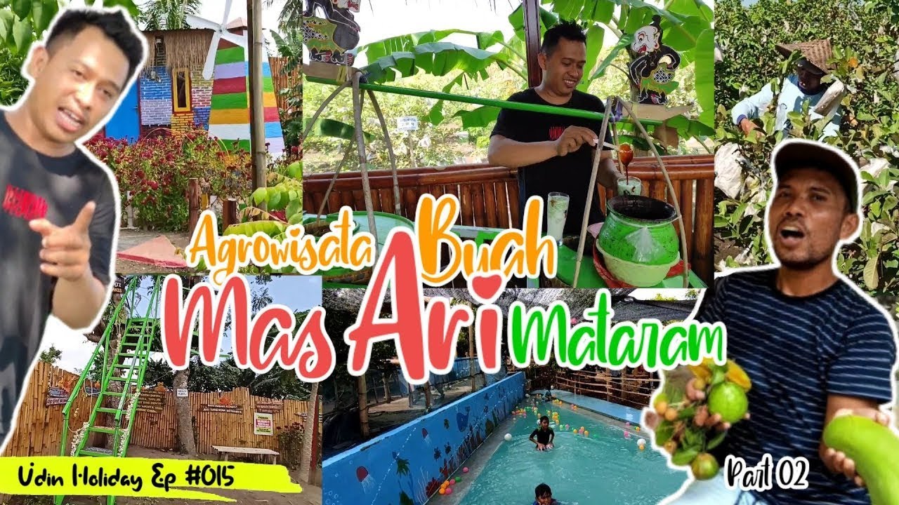 Agrowisata Buah Mas Ari Mataram part 02 II Udin Holiday Ep 015 II Sensasi petik buah sendiri II