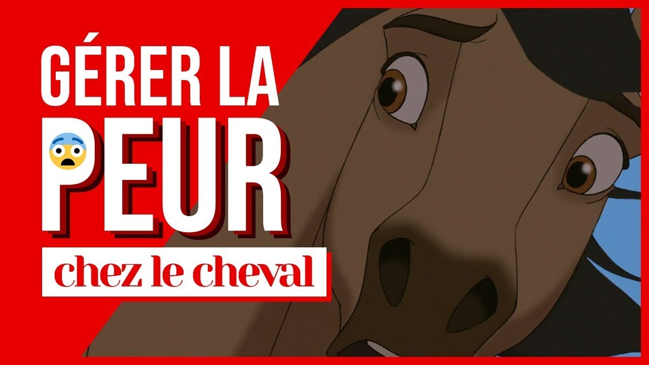 MON CHEVAL A PEUR : comment gérer ?