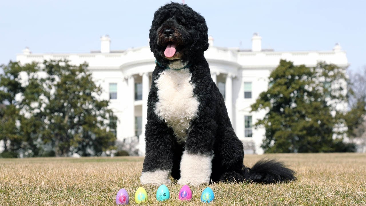 The 2013 Official White House Easter Eggs