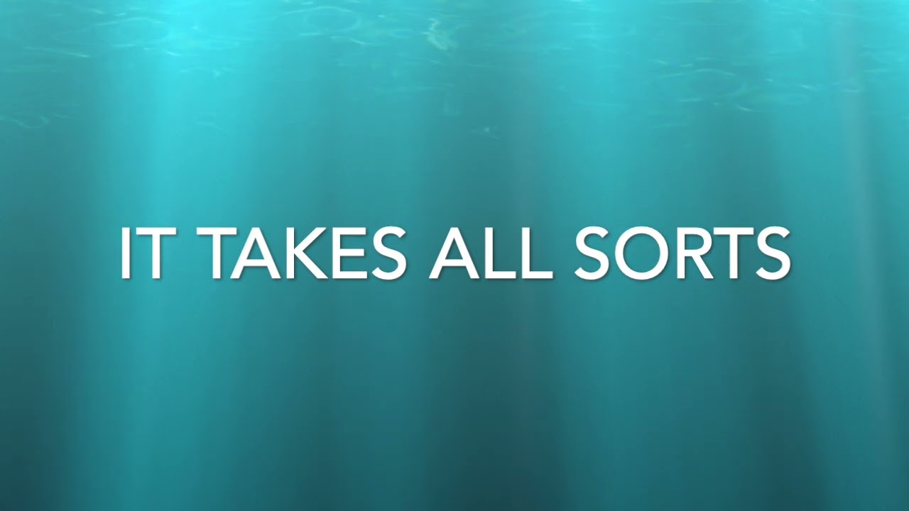 05 It Takes All Sorts - GPS - TWITW