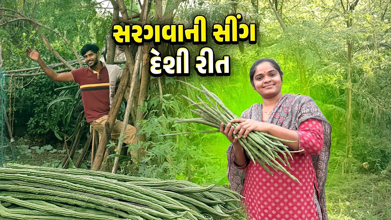 સરગવાની સીંગ તોડીને મસ્ત શાક બનાવ્યું 🤩